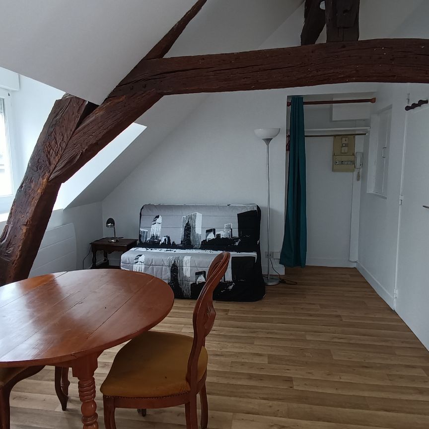 Location Appartement 1 pièce 18m² ORLEANS 45000 - Photo 1