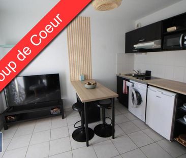 Location Appartement 1 pièce 20m² SEYSSES 31600 - Photo 4