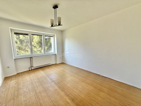Pronájem bytu 2+1 58 m² - Fotografie 1