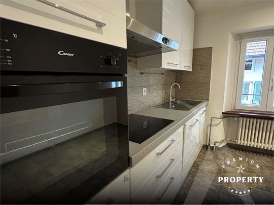 BEAUTIFUL APARTMENT IN THE HISTORIC CENTER - Photo 1