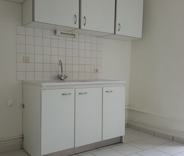 Location Appartement 1 pièce 30m² BIEVRES 91570 - Photo 3