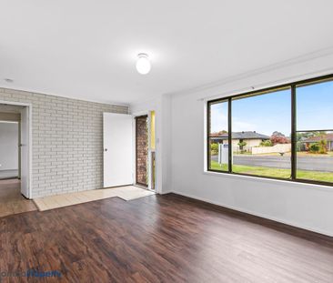 Tidy 3 Bedroom Property with Double Lockup Shed! - Photo 1