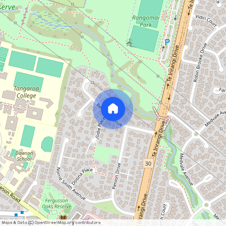 25 Belinda Avenue, Flat Bush, Manukau City