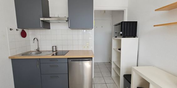 Location Appartement 1 pièce 13m² - Photo 3