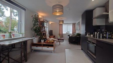 1 bedroom flat to rent - Photo 2