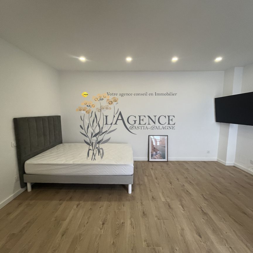 Location Appartement 1 pièce 30m² BASTIA 20200 - Photo 1