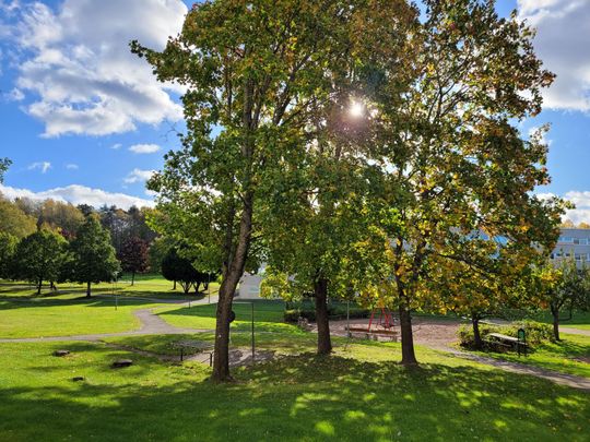 Brandkärrsvägen, Nyköping - Foto 1