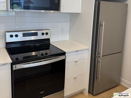 2293, rue Des Ormeaux, Ville-Marie (Centre-Ville et Vieux-Montréal) à louer - Photo 3