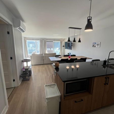Grand 4½ +bureau, Internet, Domaine sur-le-Vert, St-Hyacinthe, 1 septembre 2026 - Photo 3