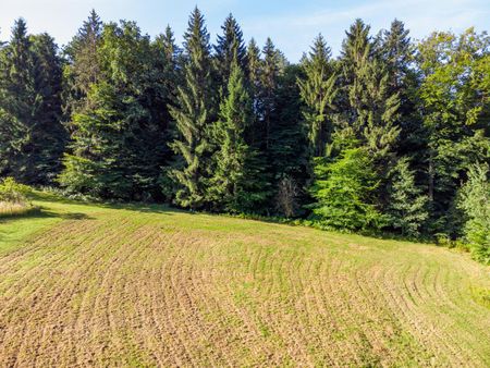Haus mit großem Grund und Wald zur Miete - Photo 5