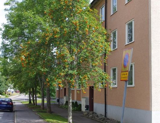 Skolgatan 3 B - Foto 1