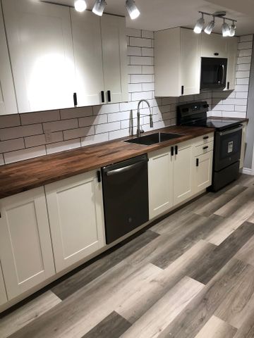 For Lease - 22 Patterson Avenue Unit# Lower, Brantford, Ontario - Photo 5