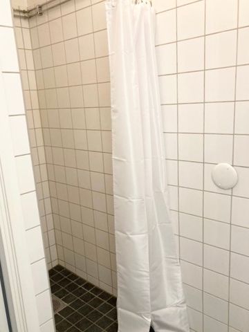 Västra Hagagatan, Hässleholm - Photo 5