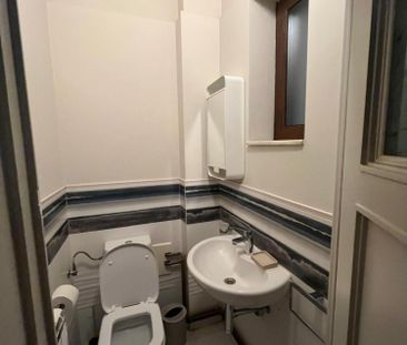 Kiseleff-parc, 4 camere, P/D+P+1+M - Photo 6