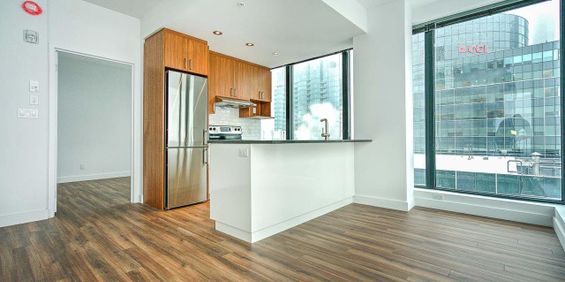 1 chambre - 1380 René-Lévesque Ouest, Montréal - Photo 3