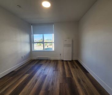 Stunning Brand New Two Bed, Two Bath Condo with AC in Mt Lehman Abb... - Photo 5