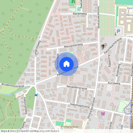4153, Reinach BL, Fleischbachstrasse, 30