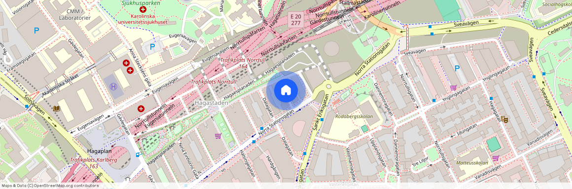 Valfrid Palmgrens gata, Stockholm