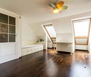 Denevér köz - Fotó 3