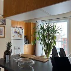 4 1/2 PETIT IMMEUBLE 2 Portes Patio - Photo 1