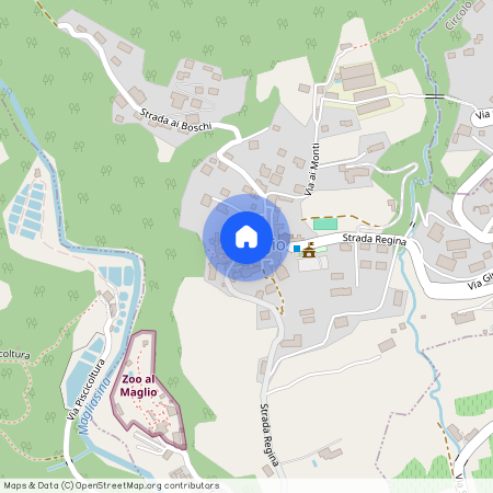 6991, Neggio, Piazza San Domenico, 11