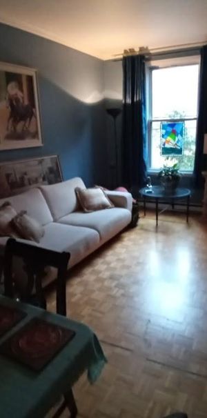 Tout compris Grand 4 1/2 Sous-location sur 2 étages Ville-Marie - Photo 1