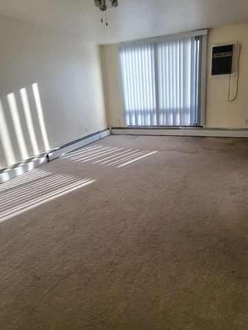 Brookhurst – Bachelor - Photo 2