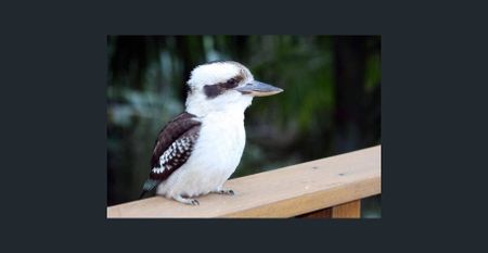 Fully Furnished Spacious & Independent Two Bedroom Home - Photo 4