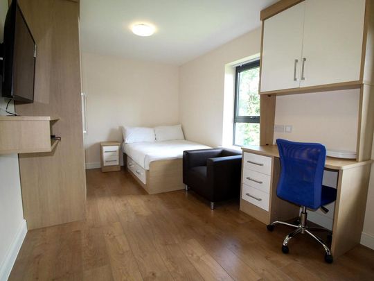 Studio to rent - Photo 1