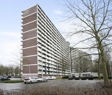 Mozartlaan 0ong, 5011 Tilburg, Nederland - Photo 3