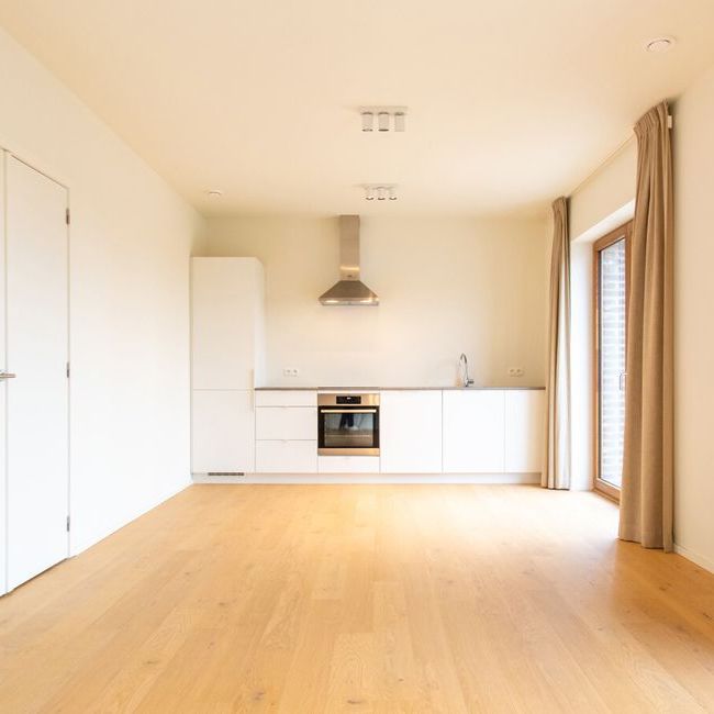 Appartement te huur in Wilrijk voor € 895 met 1 slaapkamer - Photo 1