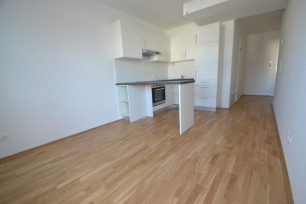 Annenviertel/Zentrum – 40 m² inkl. Loggia – 2 Zimmer-Wohnung – nach Vereinbarung ( noch bewohnt ) - Photo 1