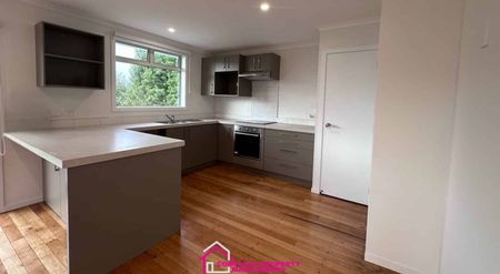 Freshly Refurbished and ready for Rent! - Photo 3