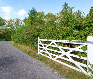 4 bedroom semi-detached house to rent - Photo 5