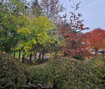 For Lease - 450 Arlington Avenue Unit# 7, Toronto, Ontario - Photo 1