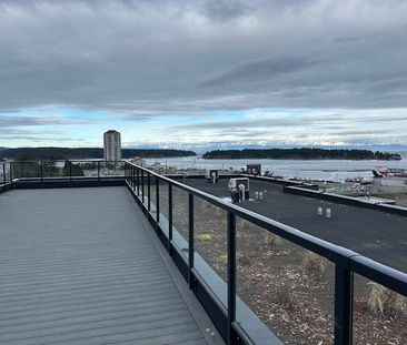 205-45 Haliburton Street - Photo 4