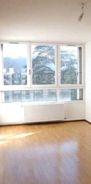 Location appartement 2 pièces 41.28 m² à Vienne (38200) 6 - Photo 1