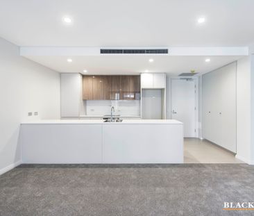 40/44 Macquarie Street, Barton ACT 2600 - Apartment For Rent | Domain - Photo 6