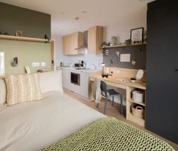 Classic Studio Plus - Photo 6