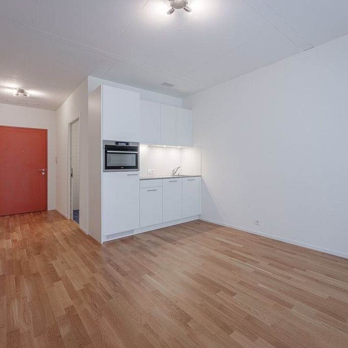 Ihr neues Studiozimmer - zentral und praktisch für Studenten - Foto 1