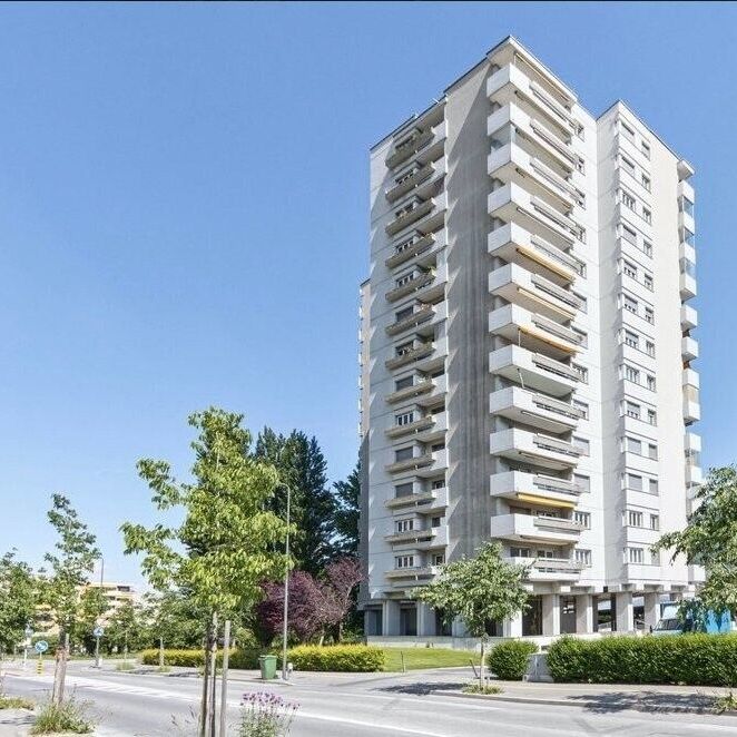 À saisir ! Charmant logement dans un quartier résidentiel de Sion ! - Photo 1