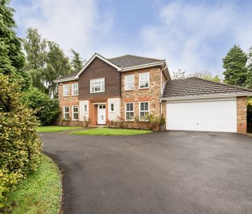 5 bedroom detached house to rent - Photo 4