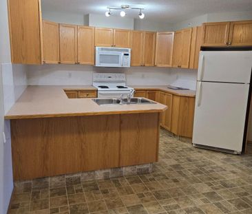 1 Bed Plus Den Pet Free Building! Utilities Included!! - Photo 5