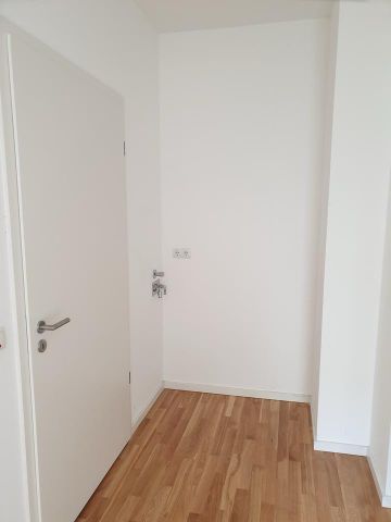 Hochwertige 1-Zi-Whg. in Waldstadt mit EBK - Photo 5