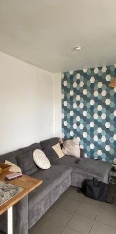 Location Appartement 2 pièces 44m² TERRE SAINTE 97410 - Photo 1