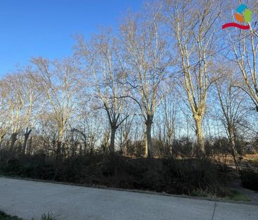 Appartement 2 pièces à Illkirch-Graffenstaden - Photo 6