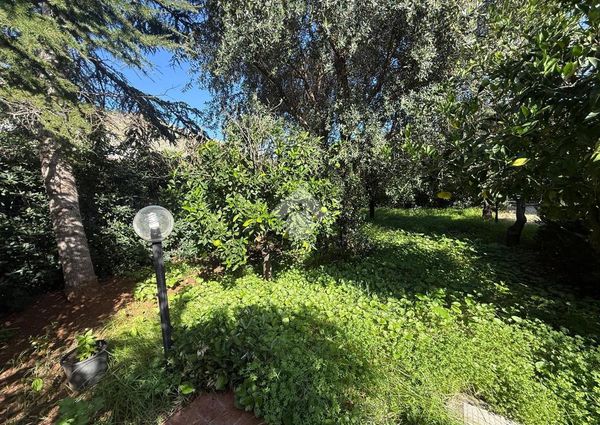 Villa singola in affitto