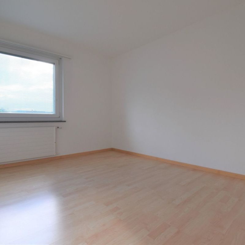 Leben am Puls der Stadt - schöne 4 Zimmer-Wohnung - Photo 1