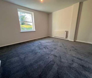 Basement Flat, Christchurch Street, IP4 - Photo 4