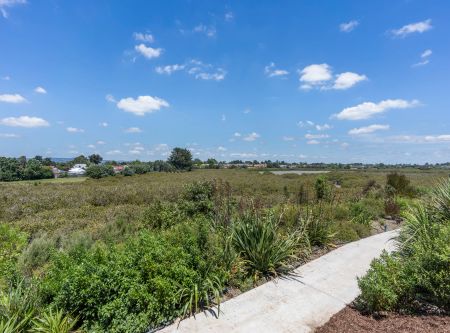 3 Bedroom in Wattle Downs - Photo 2